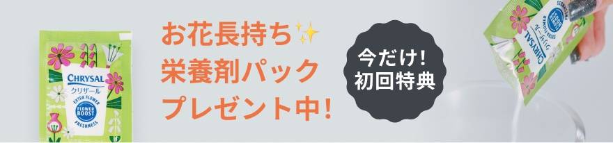 栄養剤パックプレゼント中！