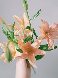 一部花びらは配送中に傷がついてしまうことも。ご了承ください。