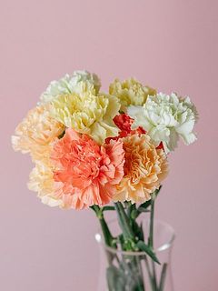 今年から登場した新色です🍋🍊🌿