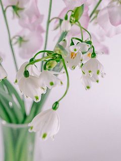 俯く姿が可愛い🥰