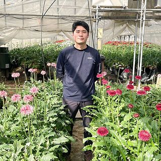 神奈川県平塚市にある松木園芸の松木一将さん。市内で唯一のガーベラ生産者でもあり、県内トップの生産量を誇ります。