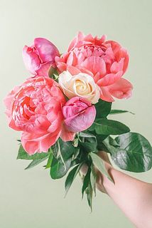 お届け時は芍薬は蕾になります。