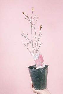 お届け例