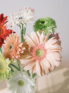 大輪（大きいサイズのガーベラ）が入るので華やかです✨