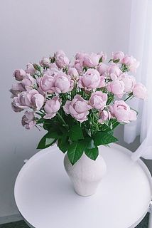 画像は9本〜10本のボリューム感