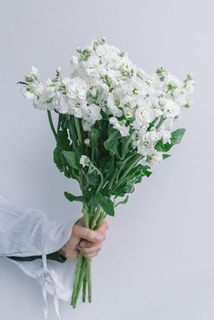 お届けボリューム