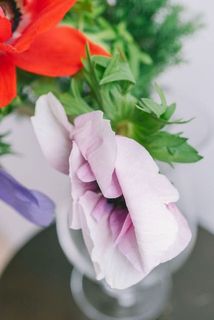 繊細な花びらの特性上、配送中に花びらに傷や折れがある場合がございます。