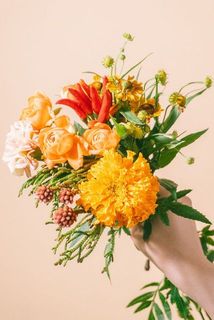 オレンジイメージ🧡