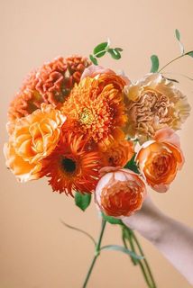 オレンジイメージ🧡