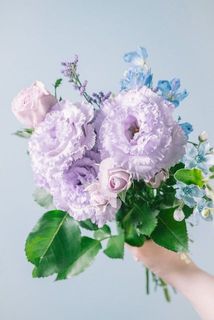 パープルイメージ💜