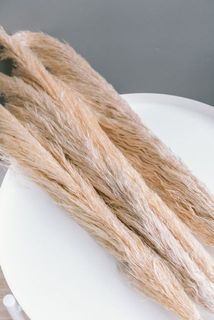 パンパスの色味には個体差がございます。