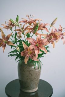 使用花器：花器「Édouard」※別売り