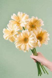 5本お届けします