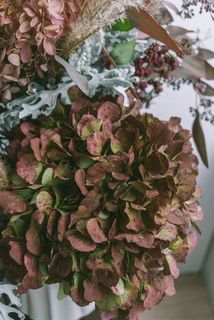 紫陽花は一部染めているものがございます。