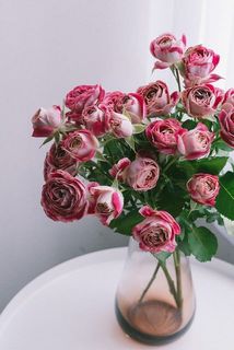 使用花器：mazzo（アンバー）