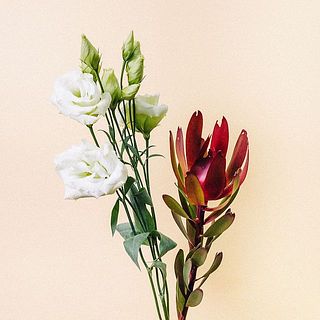 どちらかをお届け。