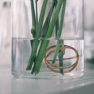花器に入れて3日目、まだ水はきれいなまま。様子を見ながら水を交換してあげてください。
