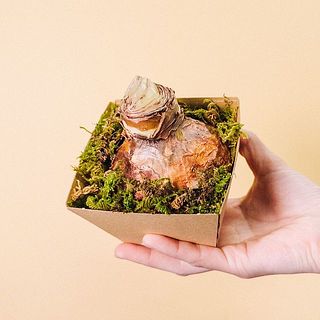 箱に入れてお届けします。