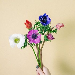 アネモネの色はおまかせになります。