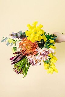 スワッグイメージ