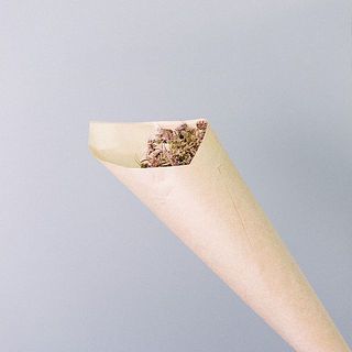 しっかりと新聞紙や紙に包んで水あげをしましょう。