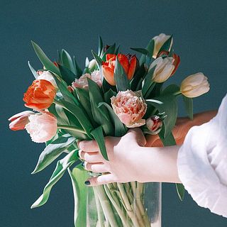 ボリュームたっぷり20本。大きめの花器にざっくり活けても、いくつかの花器に分けても。