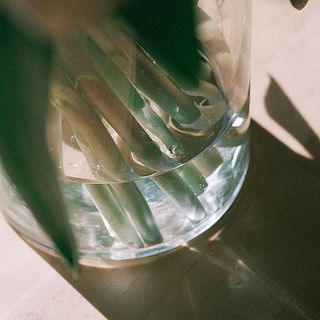 チューリップは、水の量少なめの「浅水」で活けるのがおすすめです。