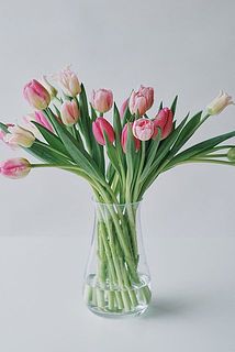 たっぷり20本。届くチューリップはおまかせとなるため、商品ページ内の写真と異なるイメージのものが届く場合がございます。［使用花器：mazzo（クリア）］