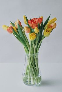 ぜひ大きめの花器に大胆に飾ってみて！あちこち自由に伸びるチューリップのかわいさが引き立ちます。［使用花器：mazzo  クリア］