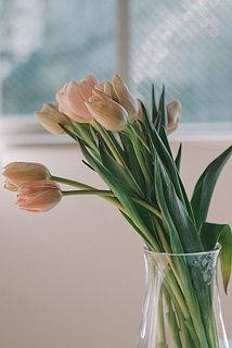 シンプルなガラスの花器と合わせるとまた違った表情に。［使用花器：mazzo］