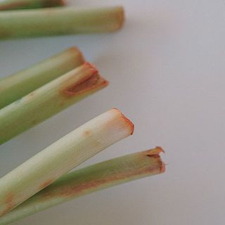 茎の先から染料が滲み出てくるので、衣類や家具につかないようご注意ください。