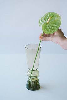 一輪でもいい感じ。