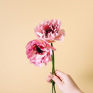 色には個体差があります。やや淡い場合も。