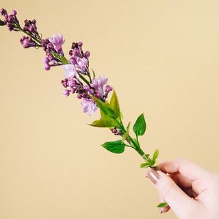 個体差がございます。ご了承ください。