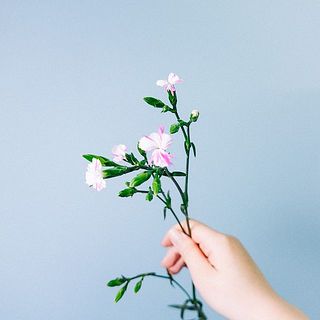 ナデシコ「線香花火」