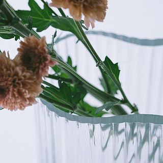 口の広い花器ですが、くにゃっとした部分に花がうまく収まってくれます。