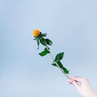 紅花