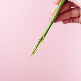 紫陽花の茎は斜めまたは十字にカットして、白い綿を取りましょう。