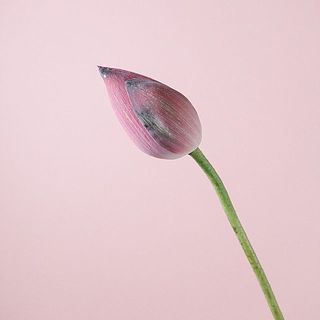 黒っぽくなっているのは品質には問題ありません。