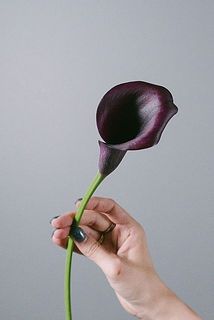 ブラック寄りのパープルカラーです。