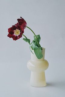 ダークカラーのチューリップをシンプルに飾ったら、かわいすぎてびっくり。