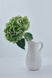 どっしり重みがあるので、頭の大きな花も飾れます。