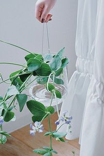 豆の花やアイビーなどしなやかな植物は本当にぴったり。