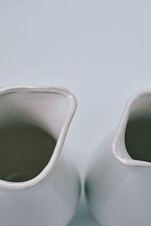 色の出方には個体差があります。