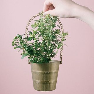 取っ手部分までお洒落です。