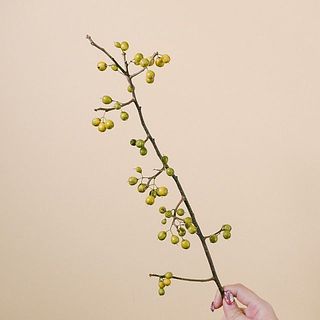 実は配送中に落ちてしまうことがございます。ご了承ください。