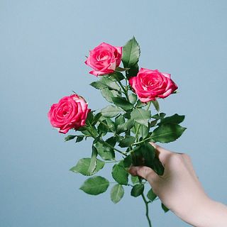 スプレーバラ「セドナ」