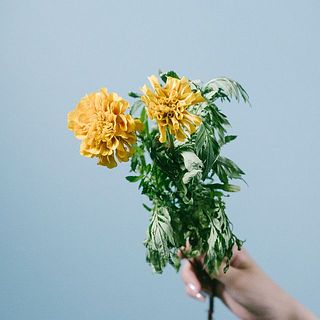 1本あたりの花のつきには個体差があります。また、輸送中に少々潰れてしまう恐れがございます。ご了承ください。品質への影響はございません。
