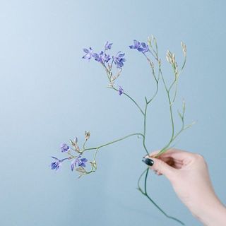 かわいらしい紫色の小花です