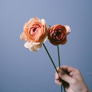 サイズ感には個体差があります。予めご了承ください。
